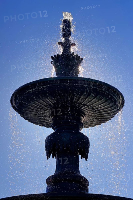 Fonte dos Leões by artist Emmanuel Fremiet, lion fountain in backlight, historic landmark, detail, old town, Porto, Portugal