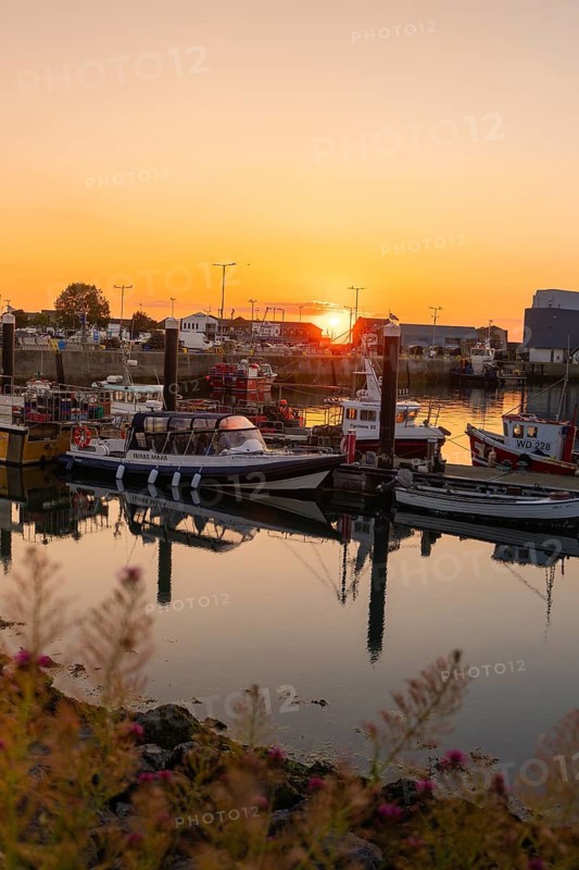 Several boats in the harbor at sunset, the water reflecting the warm light, Howth, Ireland