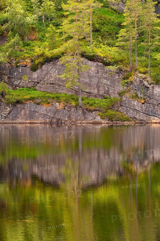 View of the reflection of nature in the water of Lake Kaldvatn, Kviteseid, Telemark, Norway