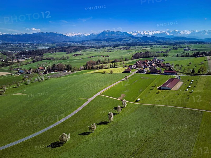 View of the hamlet of Alikon, back the Alps with the Rigi, Sins, Freiamt, Canton of Aargau, Switzerland