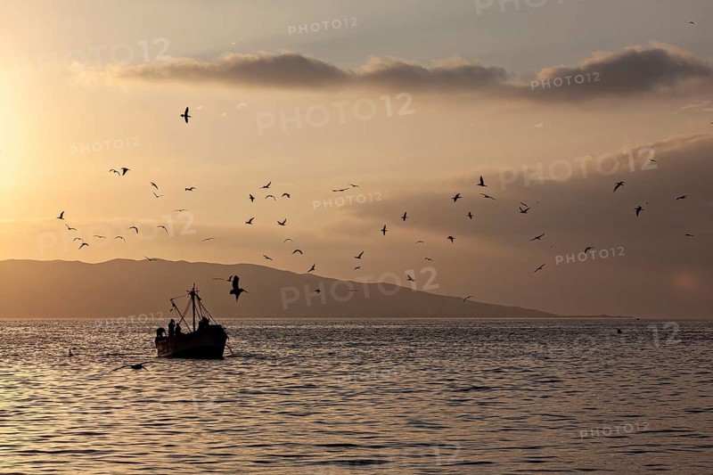 A boat at sunset with flying birds and a calm atmosphere, sunset at Paracas harbor in Peru