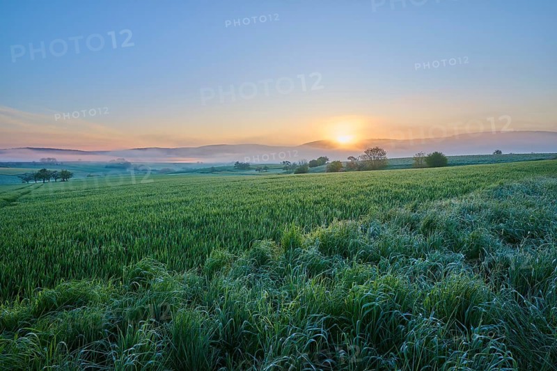 Sunrise over vast fields with rolling hills in the background and a peaceful morning sky, Mönchberg, Miltenberg, Spessart, Lower Franconia, Bavaria, Germany