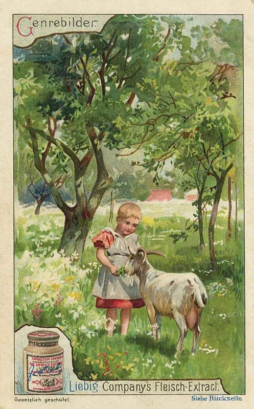 Picture series genre paintings, little girl feeding a goat in a meadow, picture of love, digitally restored reproduction of a collector's painting from around 1900, exact date unknown