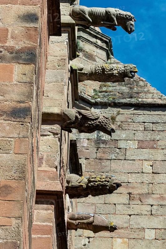 Rodez. Gargoyles of the Gothic Notre-Dame Cathedral. Aveyron department. Occitanie. France