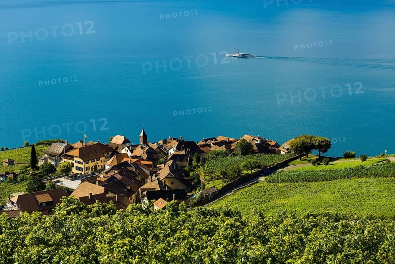 Picturesque village in the vineyards by the lake, Rivaz, Lavaux, UNESCO World Heritage Site, Lake Geneva, Lac Léman, Canton of Vaud, Switzerland