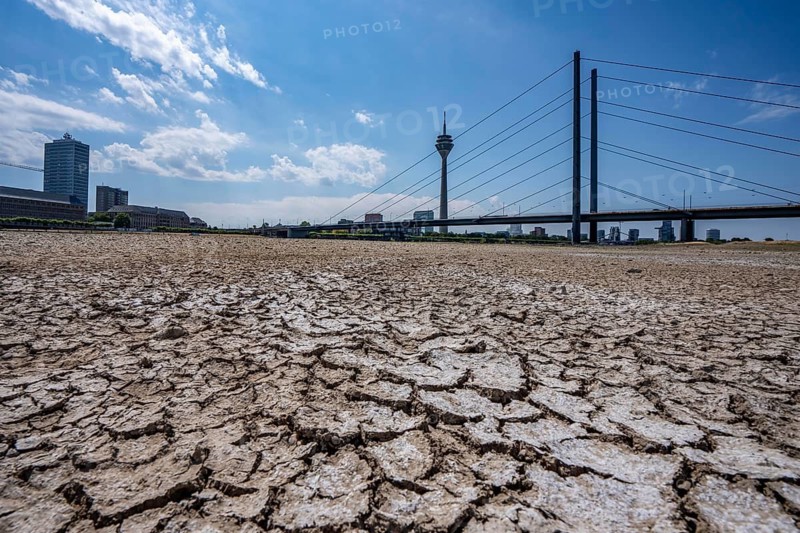 Dry riverbed, brittle floes, extreme low water, Rhine level at 41 cm, downward trend, freighters must sail with reduced load, after the long drought, the left bank of the Rhine falls dry near Düsseldorf Oberkassel, Rheinkniebrücke, Rheinturm, North Rhine-Westphalia, Germany