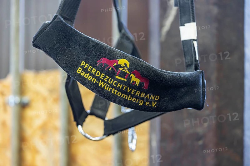 Horse harness with the inscription Pferdezuchtverband Baden-Württemberg. Baden-Württemberg, Germany