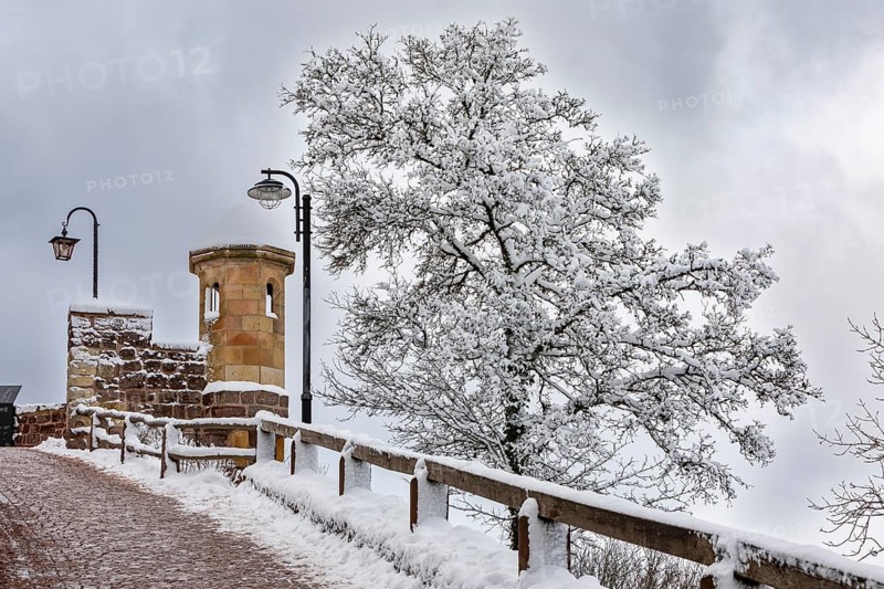 Snowy castle wall with tree and street lights under cloudy sky, The Wartburg near Eisenach in Thuringia