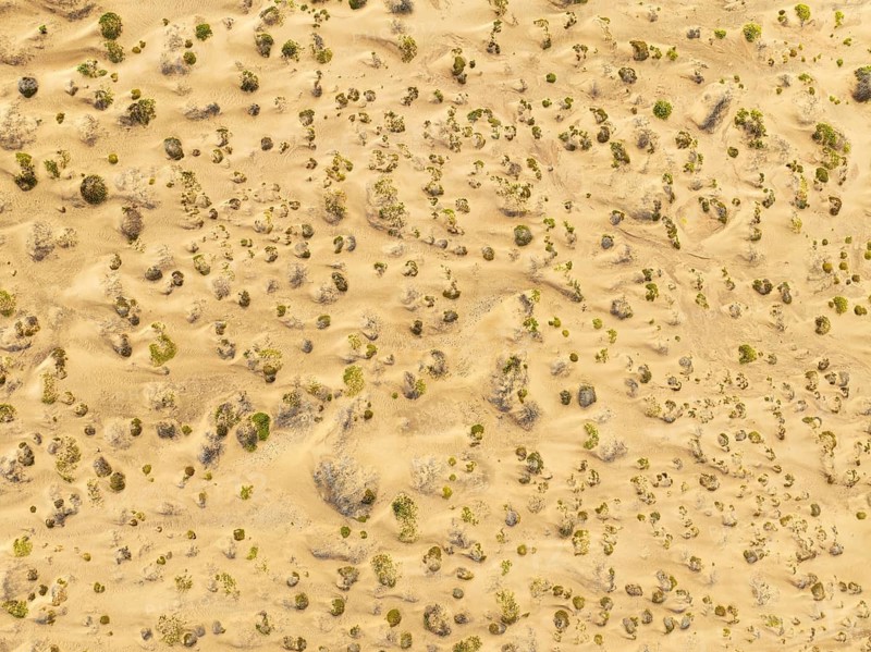 Sparse desert vegetation, mainly Salsola species. Aerial view. Drone shot. Namib Desert, Skeleton Coast, Namibia