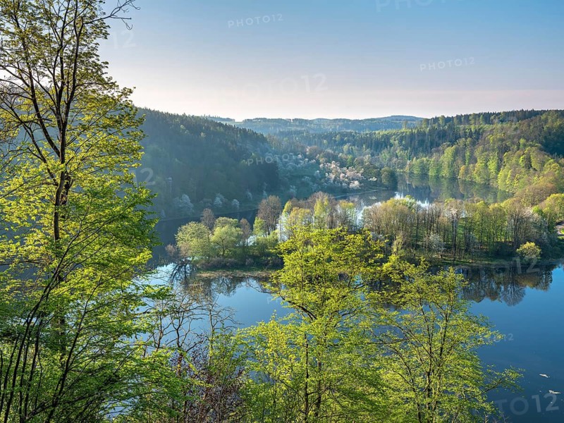 View of the Burgkhammer dam on the river Saale surrounded by green forest in spring, Burgk, Thuringia, Germany