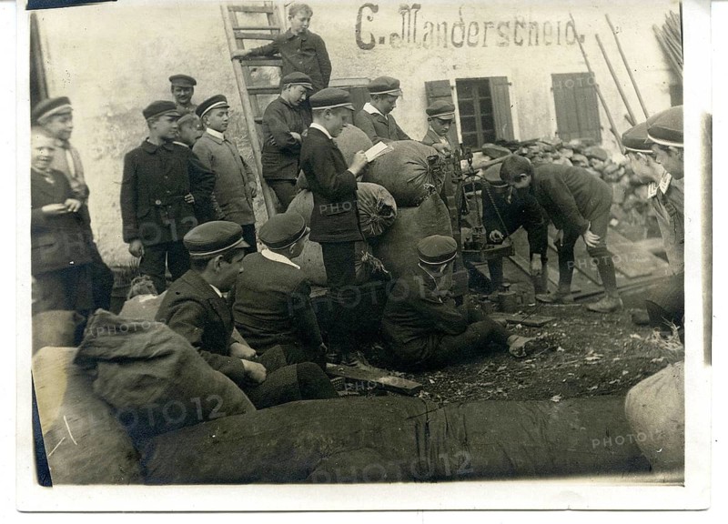 Students collecting leaves, working, assisting, Germany, around 1916