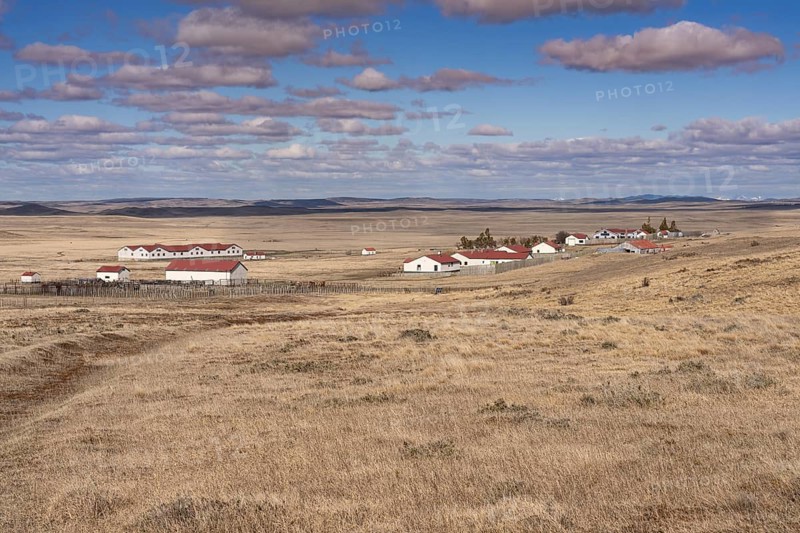 Estancia with white buildings and red roofs, sheep farm in a wide steppe landscape with dry grass, Patagonian pampas, Tierra del Fuego, Argentina