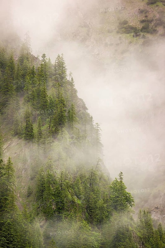Wisps of mist cover the Karwendel mountains in the Großer Ahornboden nature reserve, Eng Valley, Tyrol, Austria