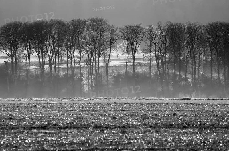 Agricultural field, Oberweser, Upper Weser Valley, Weser Uplands, Weserbergland, Hesse, Germany