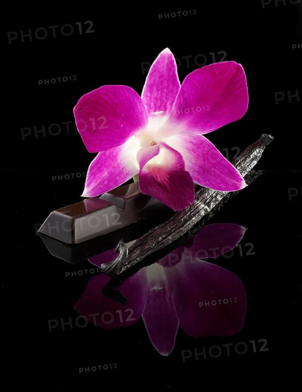 Pink orchid blossom, chocolate bar, vanilla pod against a black background, decoration, studio shot