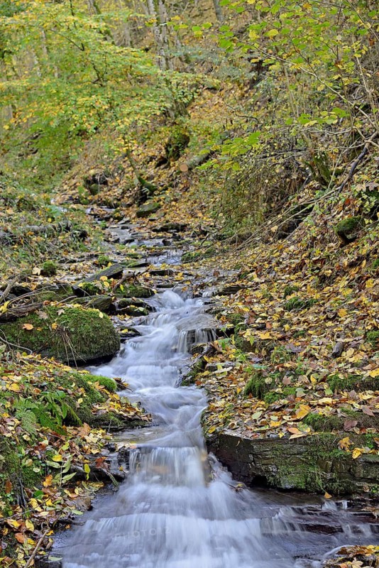 Klidinger Bach in autumn, Vulkaneifel, Rhineland-Palatinate, Germany