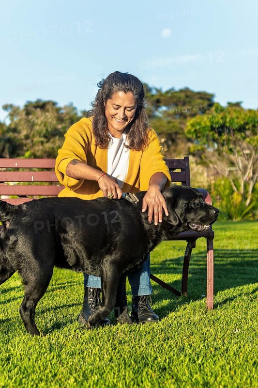 A woman sits on a bench in an Australian backyard, brushing her black labrador. The sunlight highlights a serene moment, emphasizing relaxation and routine