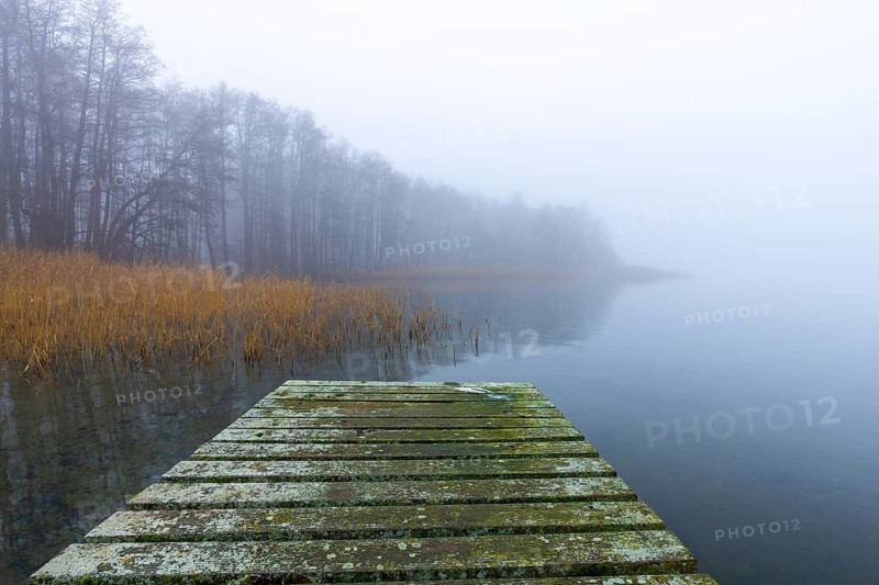 Wooden jetty at Lake Ratzeburg, Ratzeburger See in the mist, Lauenburg Lakes Nature Park, Naturpark Lauenburgische Seen, Schleswig-Holstein, Germany