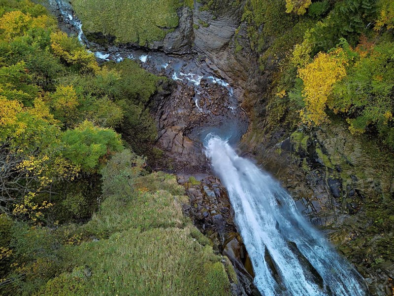 Autumn-coloured sycamore maple (Acer pseudo plantanus), at the Diesbach waterfall, Canton Glarus, Switzerland