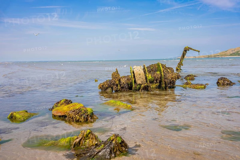 Algae-covered wreckage in shallow water on a beach under blue sky, low tide, Howth beach, Ireland