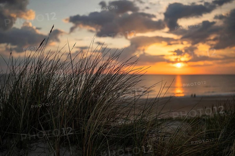 View of the beach from a dune through oats, blurred sunset and evening sky behind it, two walkers, Houvig Beach, North Sea, Denmark