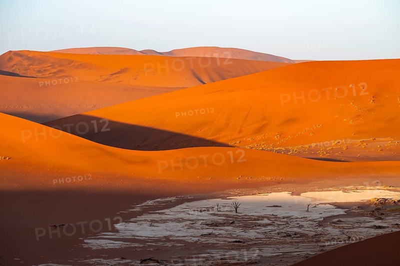 Evening mood, salt pan with dead tree, large red sand dunes in the Namib Desert, Namib Naukluft Park, Namibia