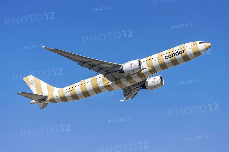 A Condor Airbus A330-900neo aircraft with the D-ANRP license plate at Frankfurt Airport, Germany