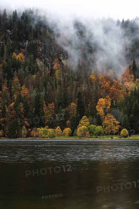 Atmospheric landscape with quiet water surface, surrounded by mist-covered autumn forests in bright colors, lake with autumn forest, Nonnenmattweiher, Neuenweg, Black Forest, Baden-Württemberg, Germany