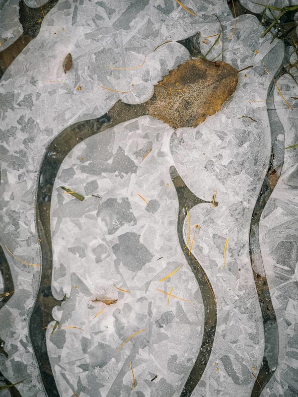 Lines and structures frozen on a small ice rink and leaves, Sauerland, North Rhine-Westphalia, Germany