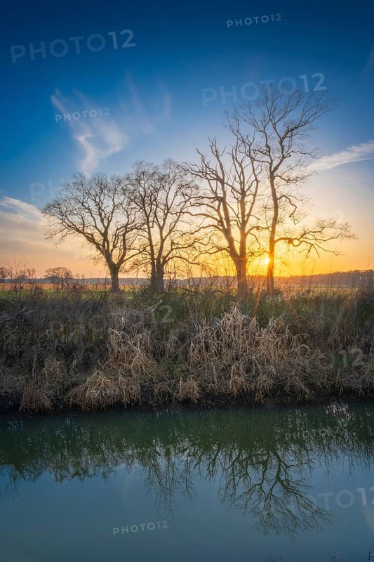 View across a ditch to the silhouettes of non-leafy trees at sunset, Kirchlinteln, Verden, Aller Leine Valley, Lower Saxony, Germany