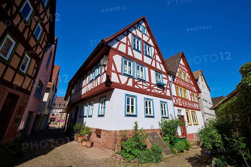 Half-timbered houses on a paved alley under a clear, blue sky decorated with plants, Lohr am Main, Schneewittchenstadt, Main-Spessart district, Mainfranken, Lower Franconia, Bavaria, Germany