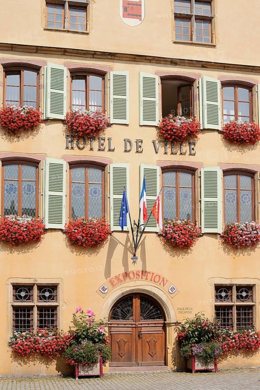 Town Hall, façade with entrance and blooming pelargoniums in front of the windows, Turckheim, Haut-Rhin, Alsace, Grand Est, France