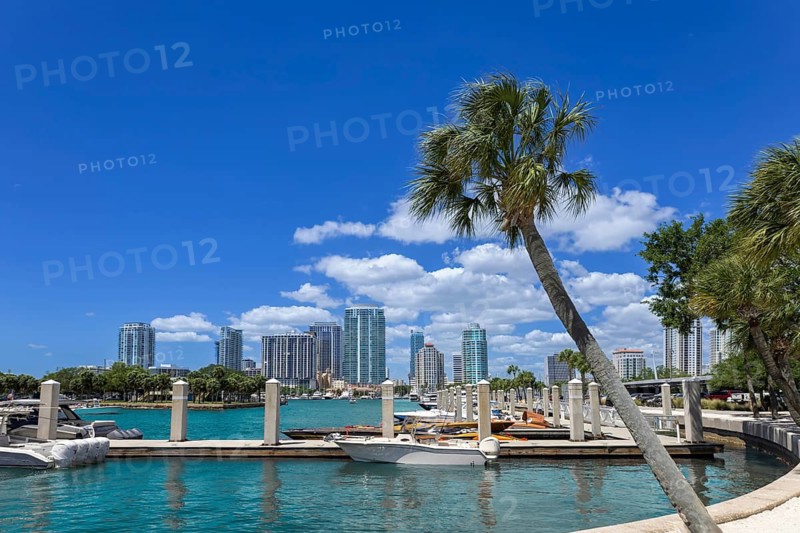 Panoramic view of St Petersburg marina with boats docked along turquoise water, palm trees in foreground and modern city skyline under a bright blue sky, Florida