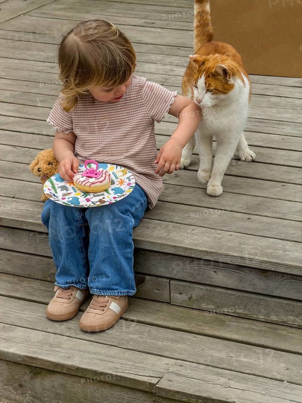 Little Caucasian girl, 3 years old, sitting on a wooden deck and eating a cookie. The cat also wants to join in but is not allowed. In Ystad, Skåne County, Sweden, Scandinavia