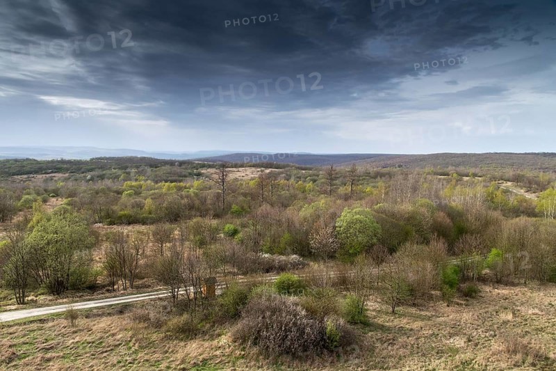 Germany, spring, Hainich, Hainichblick, landscape, national park, Hainich National Park, spring