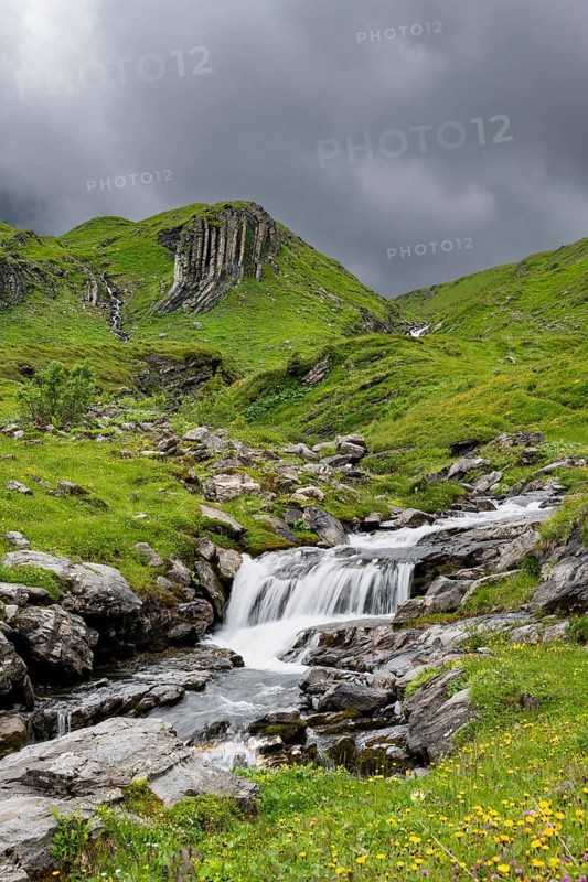 Bergbach Sousbach flows through picturesque green mountain landscape with flower meadow, long exposure, Bernese Alps, Bernese Oberland, Switzerland
