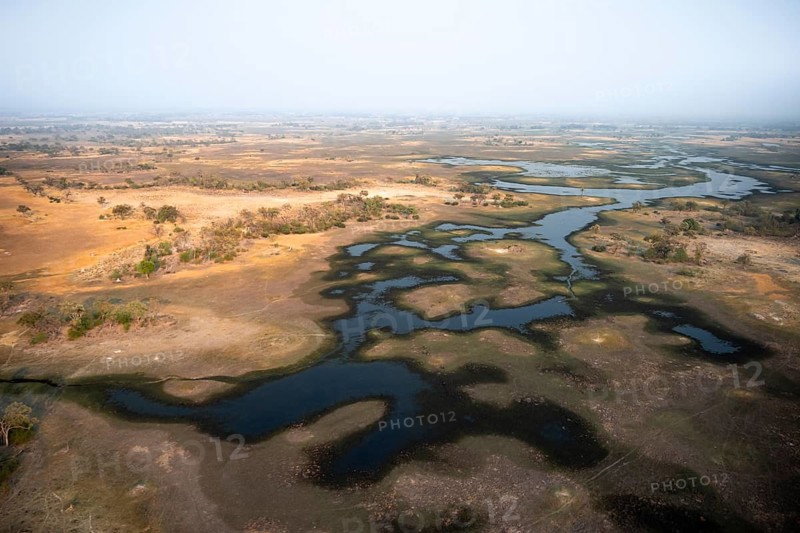 Wetland, landscape, aerial view of the Okavango Delta, near Maun, Okavango Delta, Botswana