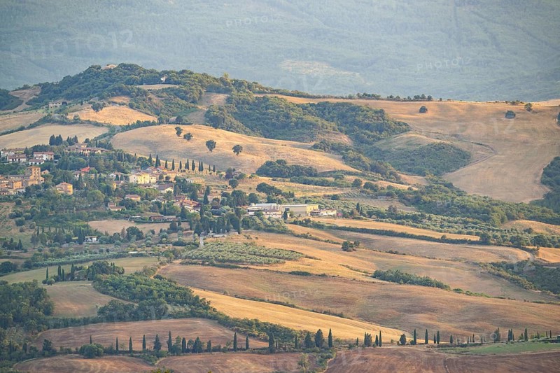 Typical Tuscan landscape in Val d'Orcia with hills, trees, fields, cypresses in autumn at sunset, near La Foce, Tuscany, Italy