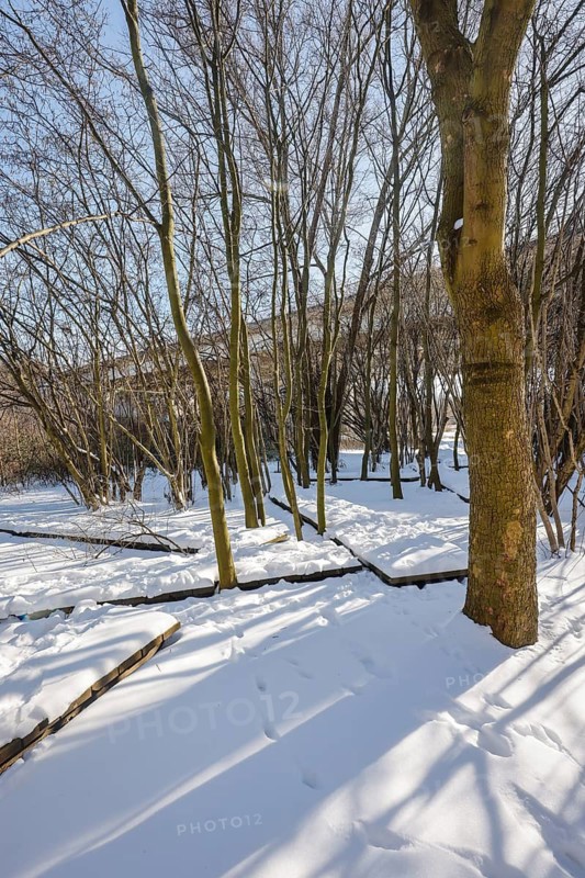 Dortmund, North Rhine-Westphalia, Germany - Sunny winter landscape in the Ruhr area, Emscher art in the snow, KUNSTPAUSE, 2016, atelier le balto
