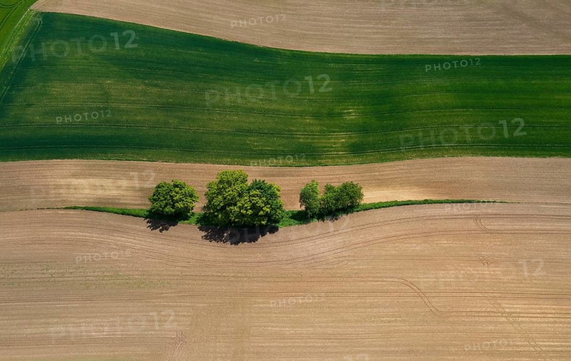Drone view, group of trees on a ploughed field, agricultural landscape, Innviertel, Upper Austria, Austria