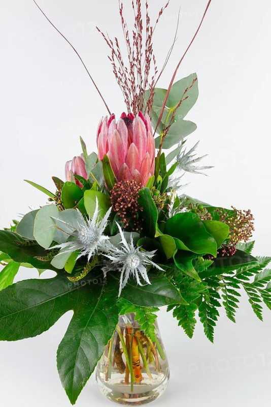 Fresh bouquet with protea and green foliage in a clear glass jar, bouquet