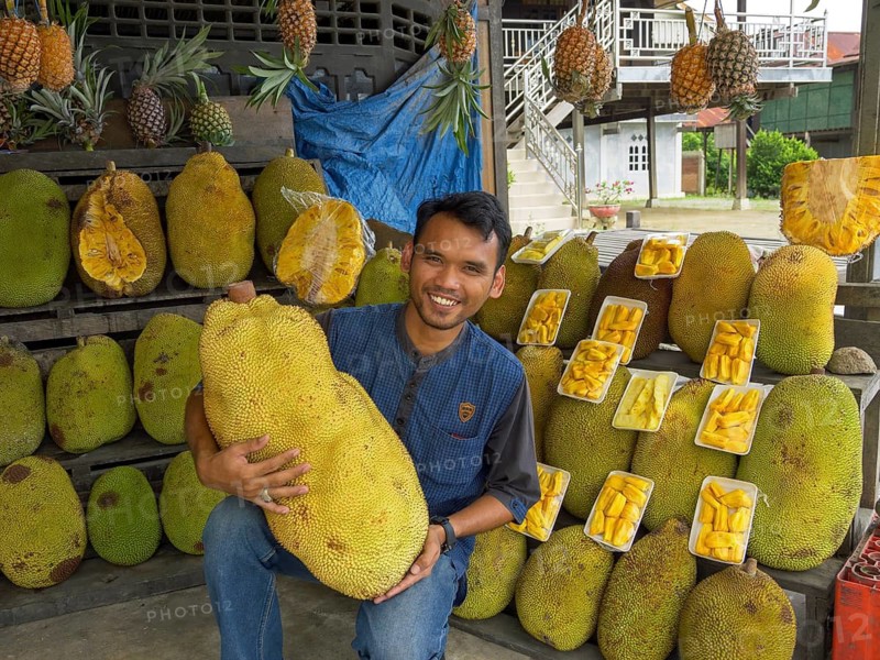 Man with huge jackfruit, Sulawesi, Indonesia
