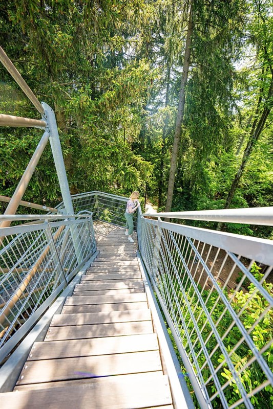 Person walking alone down a wooden staircase in the thick forest, Waldwelt Skywalk Allgäu, Scheidegg, Allgäu, Germany