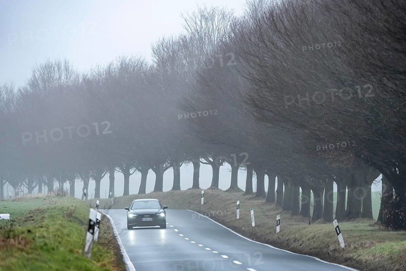 Thick fog, with low visibility, country road, Schuirweg, bare trees, winter, in Essen, North Rhine-Westphalia, Germany