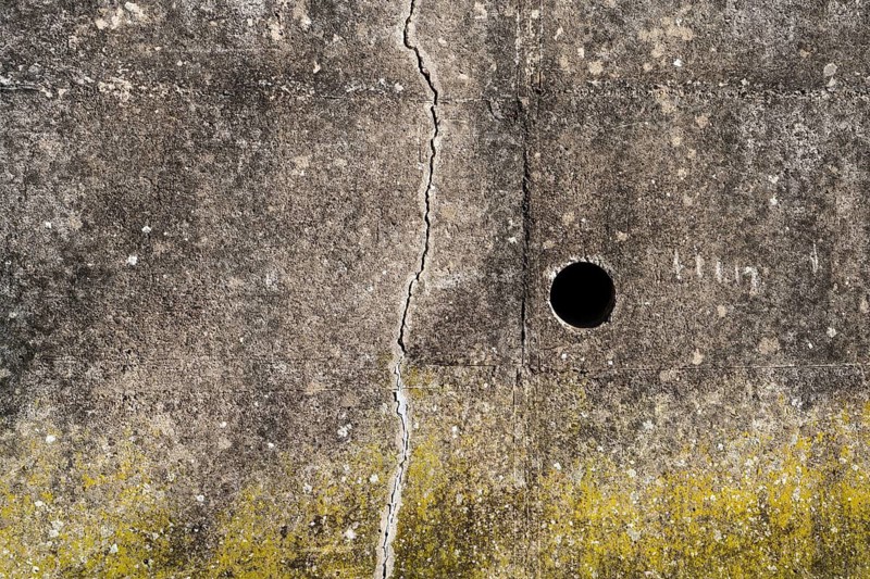Old concrete wall with cracks, structures and green moss