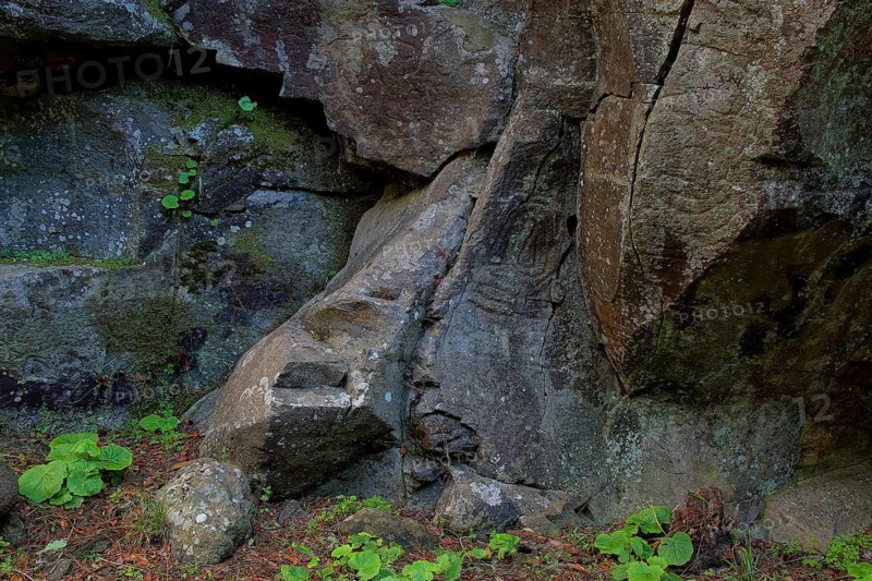 Canary Islands, La Palma, La Zarza, Mountains, La Palma, Canary Islands, Spain