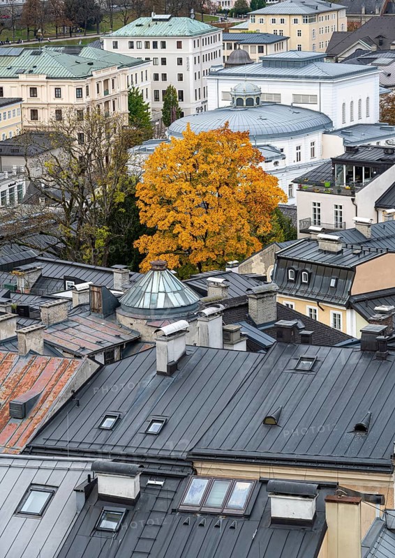 View of autumn tree and house roofs, Old Town, Salzburg, Salzburg state, Austria