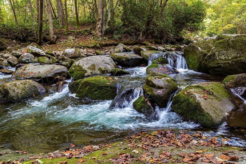 The Little River flows along the Little River Trail in the Great Smoky Mountains National Park, Tennessee, USA
