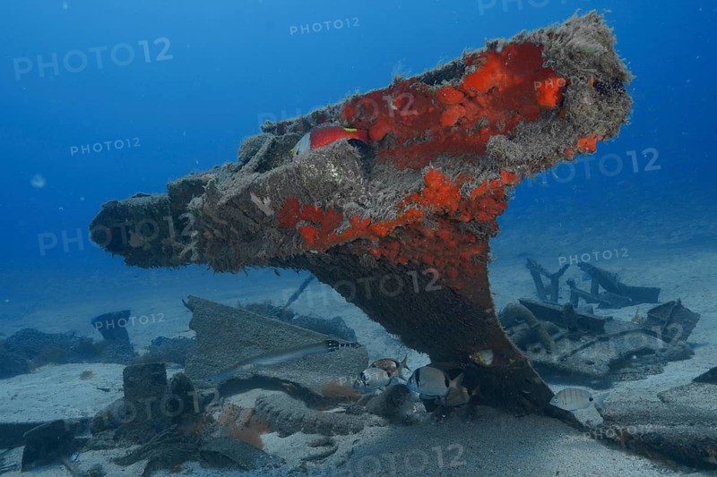 Shipwreck with exposed, rusty structures and fish below, meteor wreck dive site, Russian hydrofoil, Arguineguin, Gran Canaria, Spain, Europe, Atlantic
