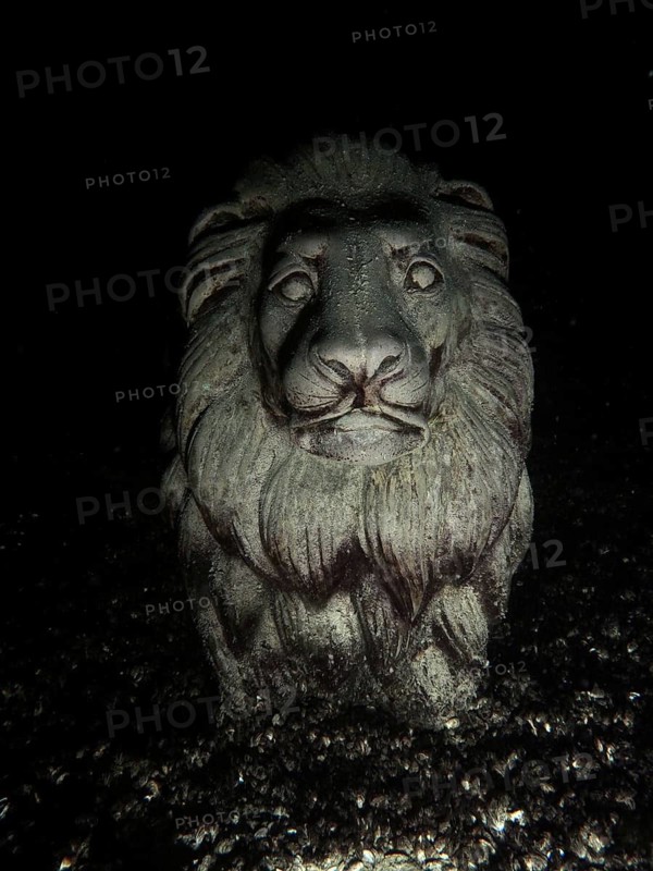Stone lion statue under water in dark surroundings, Wildsau dive site, Berlingen, Lake Constance, Switzerland, Germany
